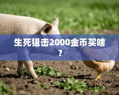 生死**2000金币买啥？