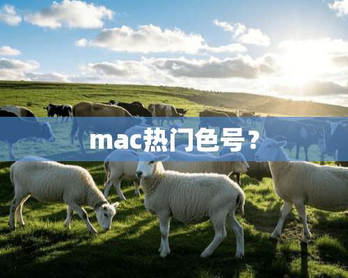 mac热门色号？