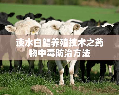 淡水白鲳养殖技术之药物中毒防治方法