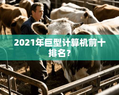 2021年巨型计算机前十排名？