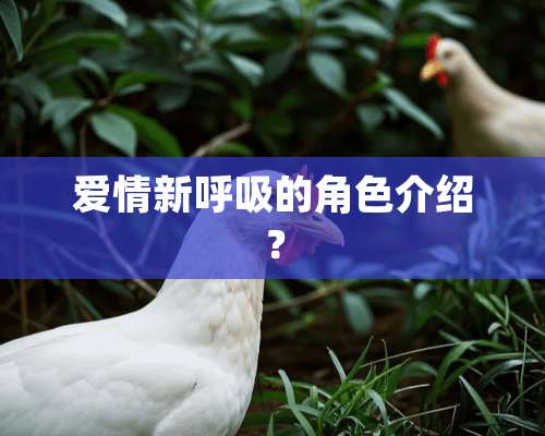 爱情新呼吸的角色介绍？