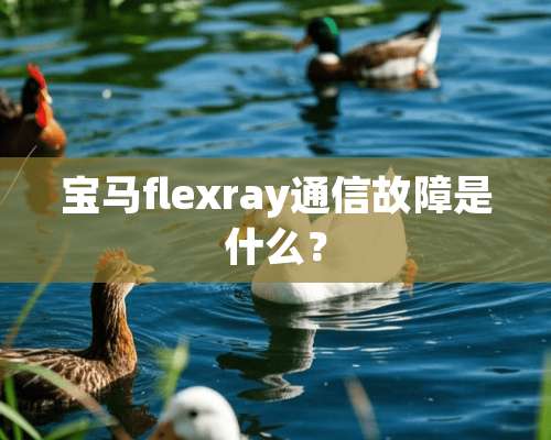 宝马flexray通信故障是什么？