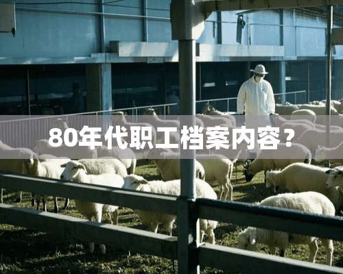 80年代职工档案内容？