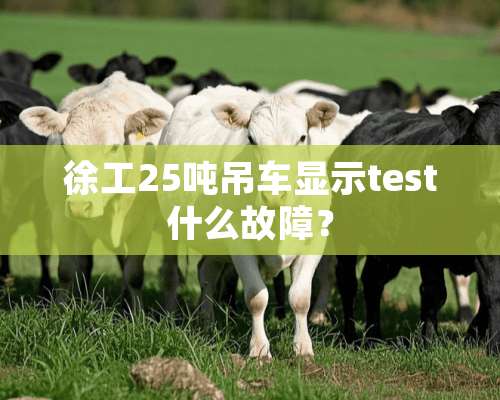 徐工25吨吊车显示test什么故障？