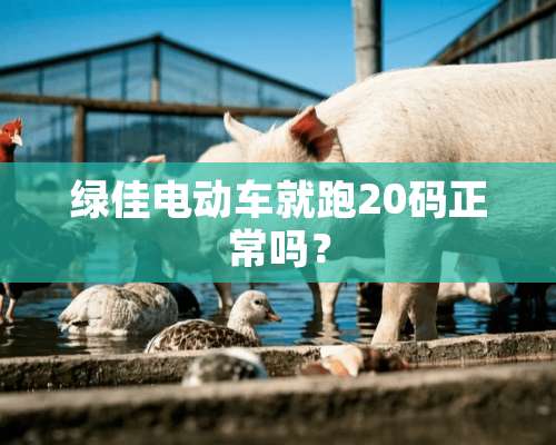 绿佳电动车就跑20码正常吗？