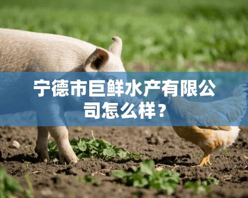 宁德市巨鲜水产有限公司怎么样？