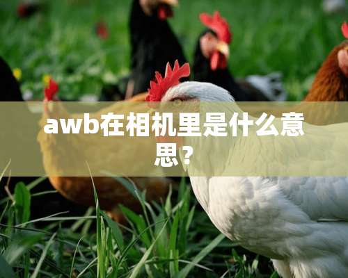 awb在相机里是什么意思？