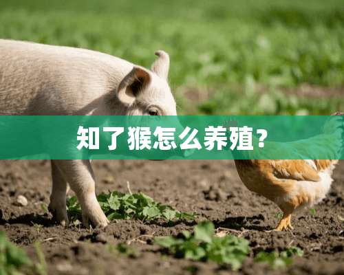 知了猴怎么养殖？