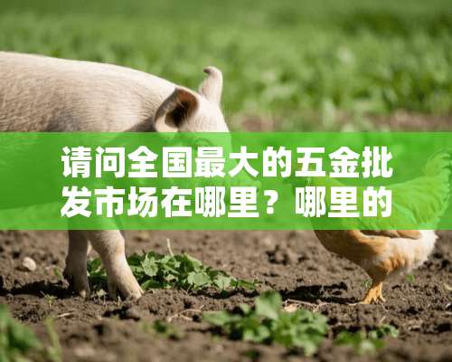 请问全国最大的五金批发市场在哪里？哪里的最便宜？