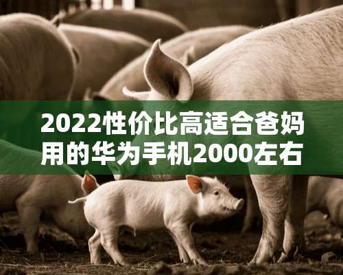 2022性价比高适合爸妈用的华为手机2000左右？