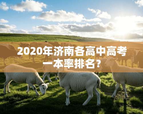 2020年济南各高中高考一本率排名？