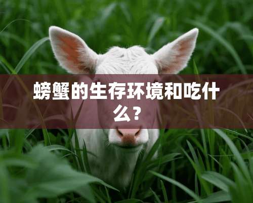 螃蟹的生存环境和吃什么？