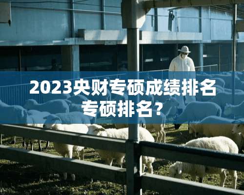 2023央财专硕成绩排名专硕排名？