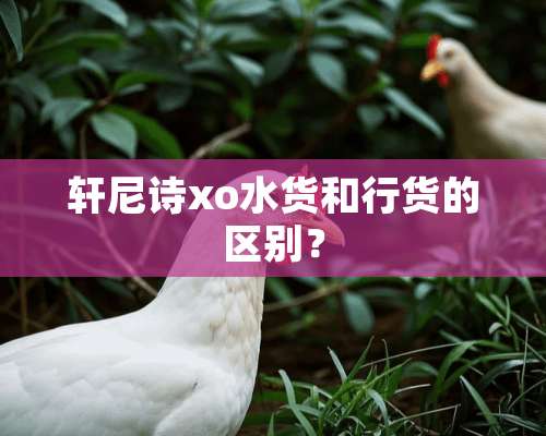 轩尼诗xo水货和行货的区别？