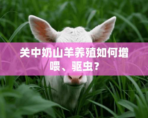 关中奶山羊养殖如何增喂、驱虫？