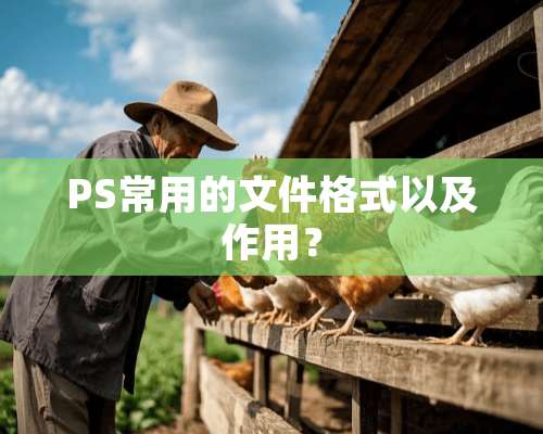 PS常用的文件格式以及作用？