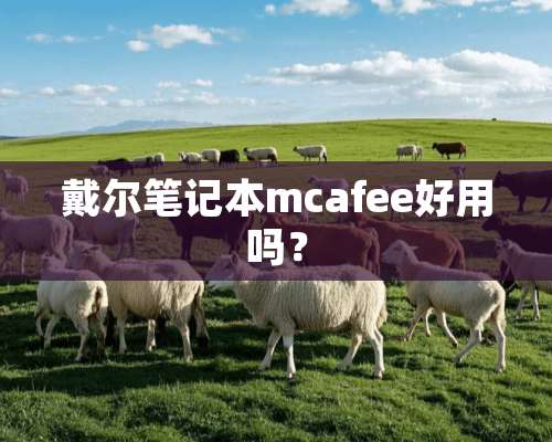 戴尔笔记本mcafee好用吗？