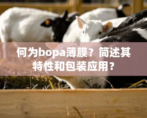 何为bopa薄膜？简述其特性和包装应用？