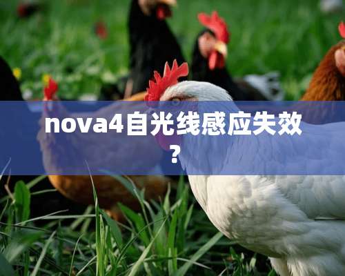 nova4自光线感应失效？