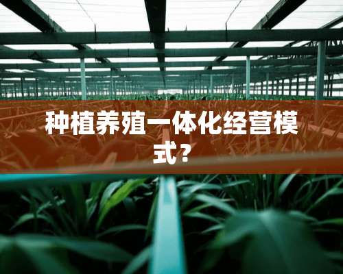 种植养殖一体化经营模式？