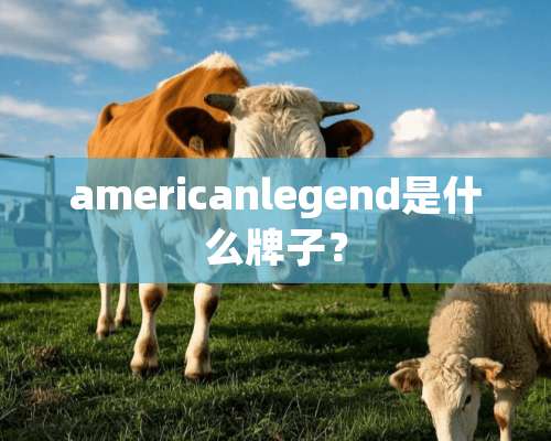 americanlegend是什么牌子？