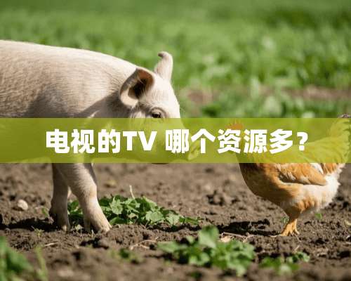 电视的TV 哪个资源多？