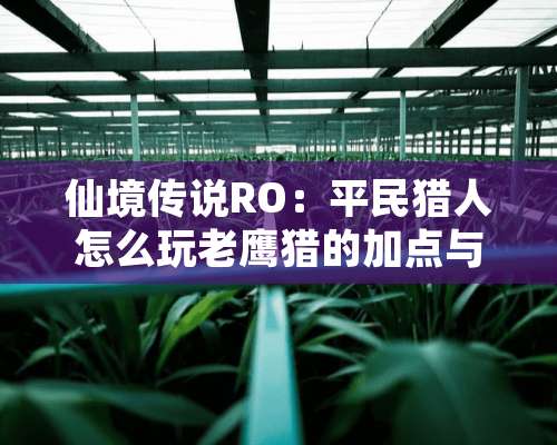 仙境传说RO：平民猎人怎么玩老鹰猎的加点与技能？