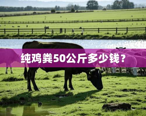 纯鸡粪50公斤多少钱？