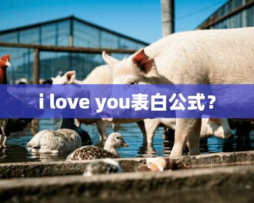 i love you表白公式？