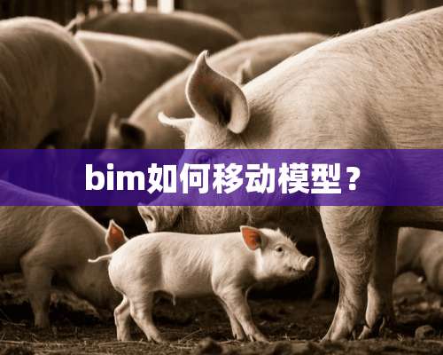 bim如何移动模型？