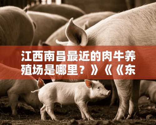 江西南昌最近的肉牛养殖场是哪里？》《《东祥肉牛养殖场》》？