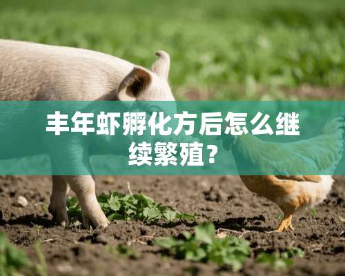 丰年虾孵化方后怎么继续繁殖？