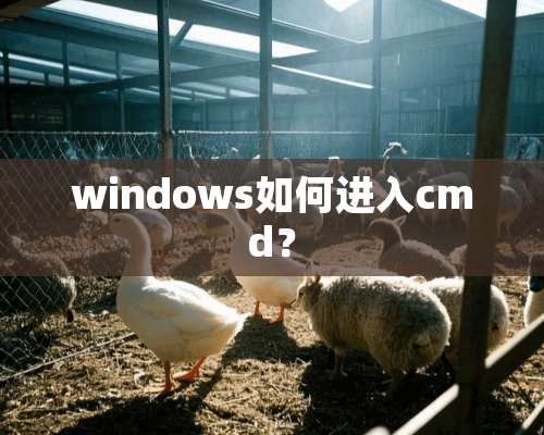 windows如何进入cmd？