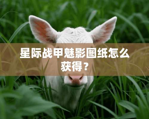 星际战甲魅影图纸怎么获得？