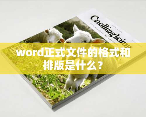 word正式文件的格式和排版是什么？