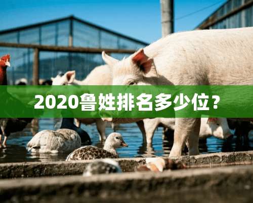 2020鲁姓排名多少位？