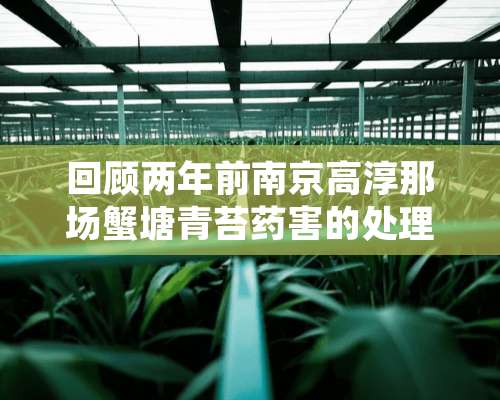 回顾两年前南京高淳那场蟹塘青苔药害的处理措施