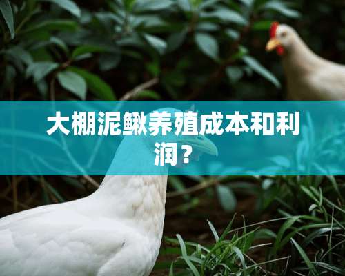 大棚泥鳅养殖成本和利润？