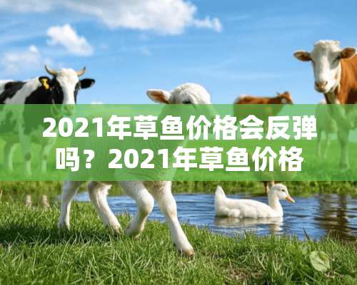 2021年草鱼价格会反弹吗？2021年草鱼价格