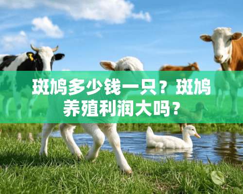 斑鸠多少钱一只？斑鸠养殖利润大吗？