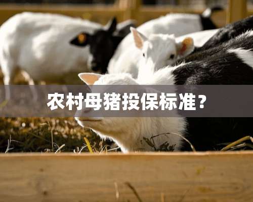 农村母猪投保标准？