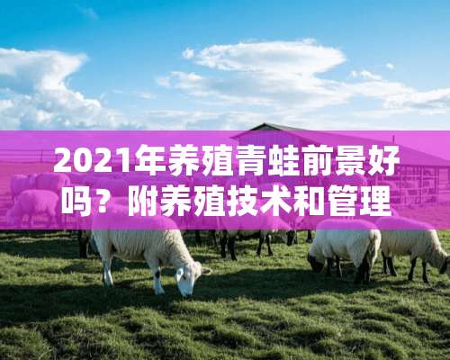 2021年养殖青蛙前景好吗？附养殖技术和管理技巧