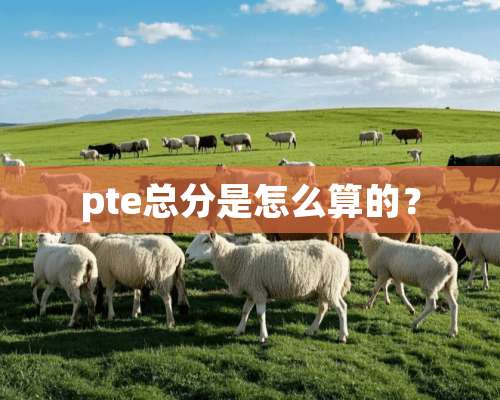 pte总分是怎么算的？