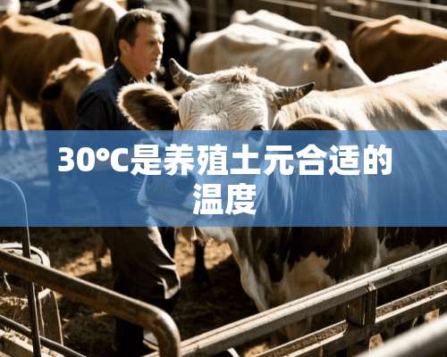 30℃是养殖土元合适的温度