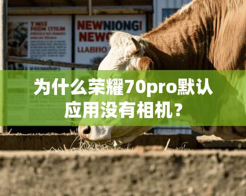 为什么荣耀70pro默认应用没有相机？