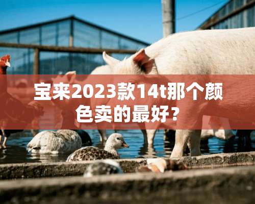 宝来2023款14t那个颜色卖的最好？