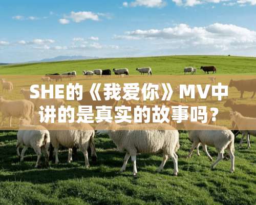 SHE的《我爱你》MV中讲的是真实的故事吗？