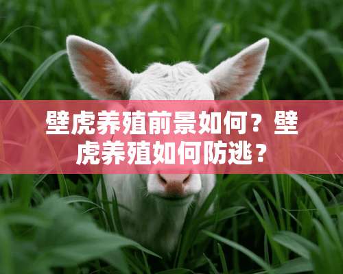 壁虎养殖前景如何？壁虎养殖如何防逃？