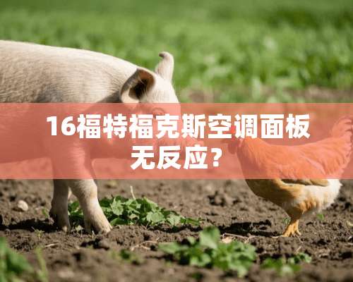 16福特福克斯空调面板无反应？