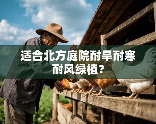 适合北方庭院耐旱耐寒耐风绿植？